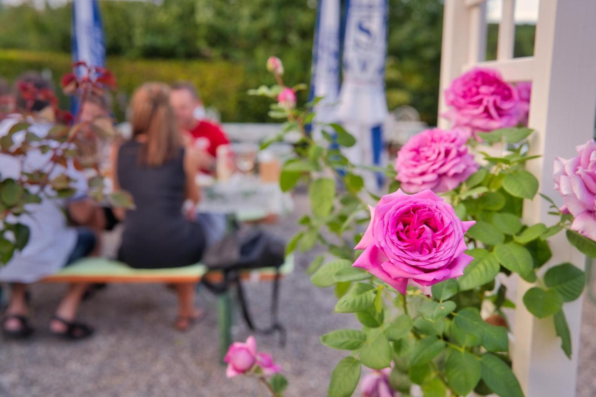 Gasthaus Zur Rose Aalen Exteriér fotografie